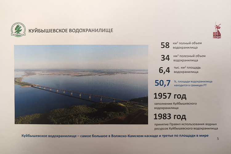 Фото: Алия Зиганшина