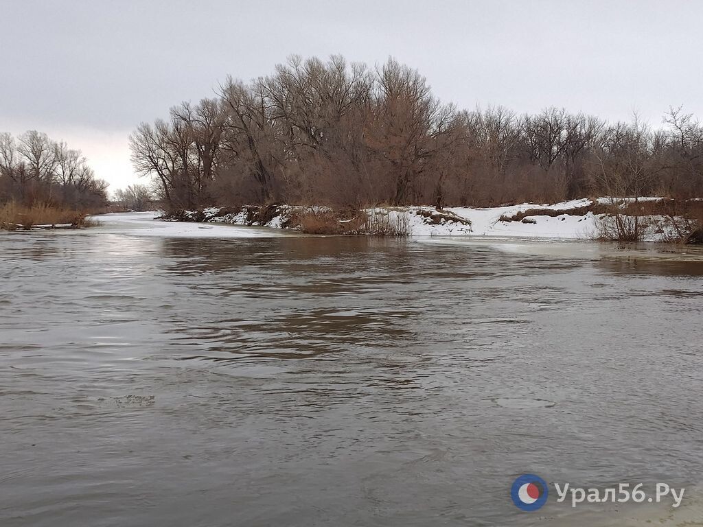    За выходные уровень Урала в районе Орска вырос на полметра, из них +41 см за сутки. В Оренбурге река стабильна