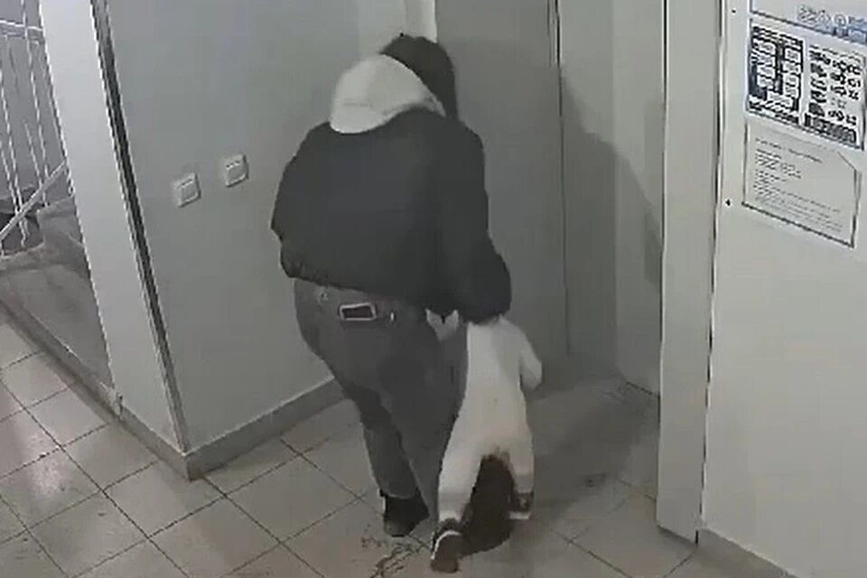 Фото из сетей интернета