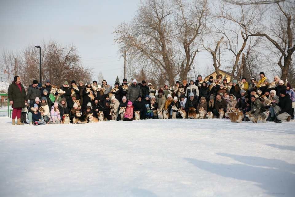    «Корги Тусы» проводятся в краевой столице с 2022 года. Фото: Дмитрий Пушкарев