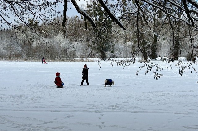   Фото из архива Калининград.Ru