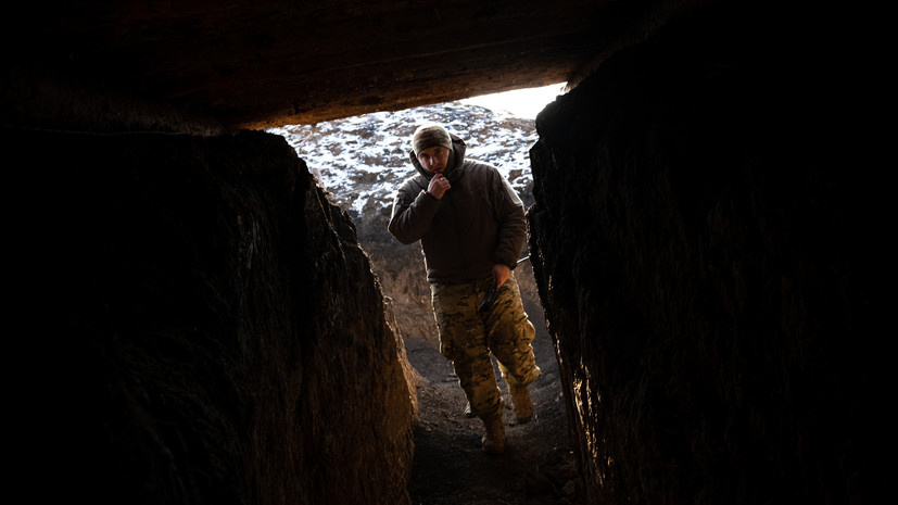   Gettyimages.ru Wolfgang Schwan / Anadolu