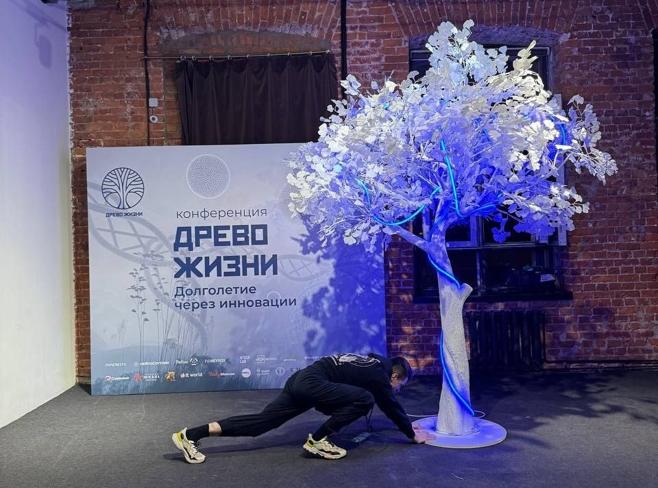 Подготовка к конференции "Древо Жизни" в Москве 15-16 февраля 2025 года.