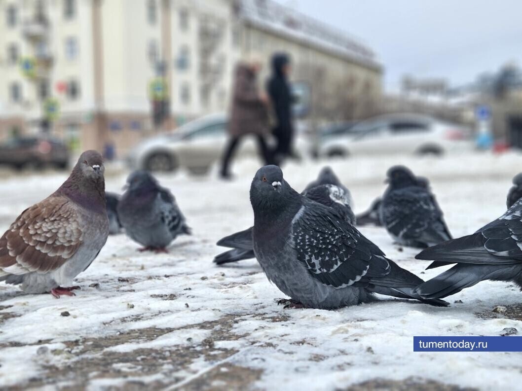  Фото Артемия Романова