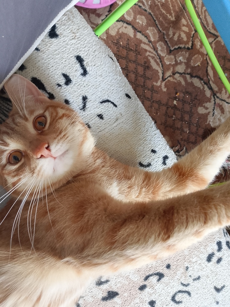 Вот он, Геннадий, собственной персоной