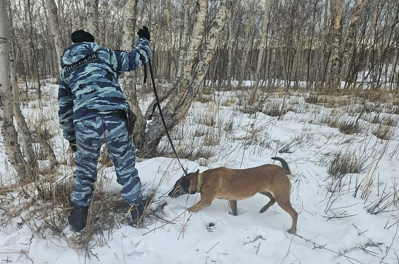 УМВД по Камчатскому краю