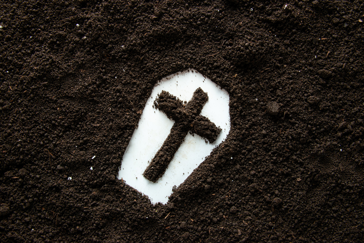    freepik.com Дарья Федотова