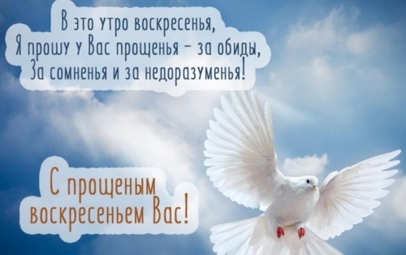 Фото: bestkartinki.ru