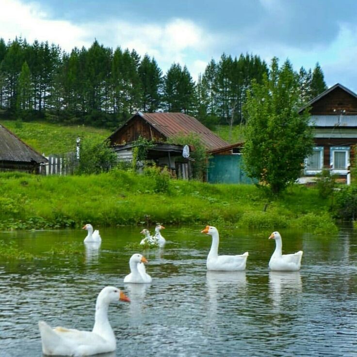 фото из открытого доступного источника сети интернет