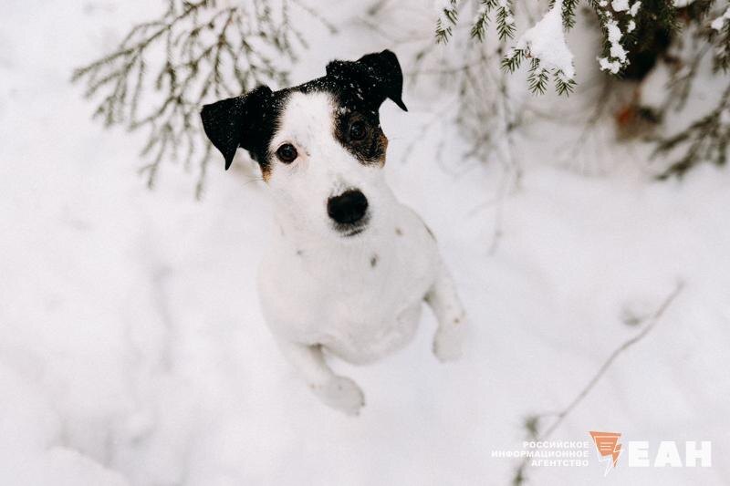    Архивное фото ЕАН