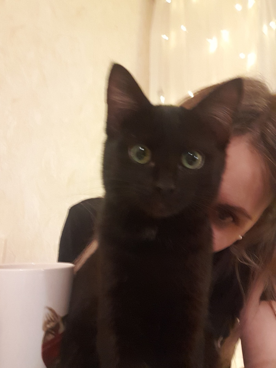 Алиса с кожанным рабом