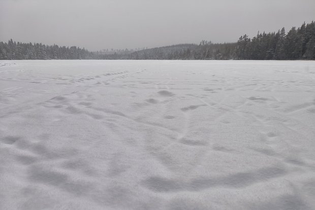    Фото: lenta.ru Георгий