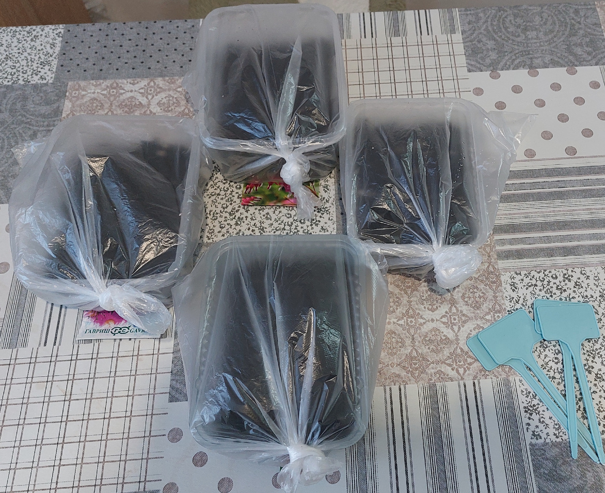 На них вся надежда)