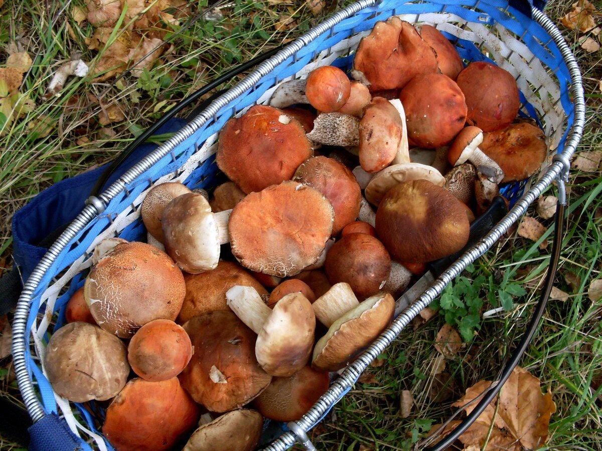 Автор фото Ольга Блинова. Домашние видеоклипы