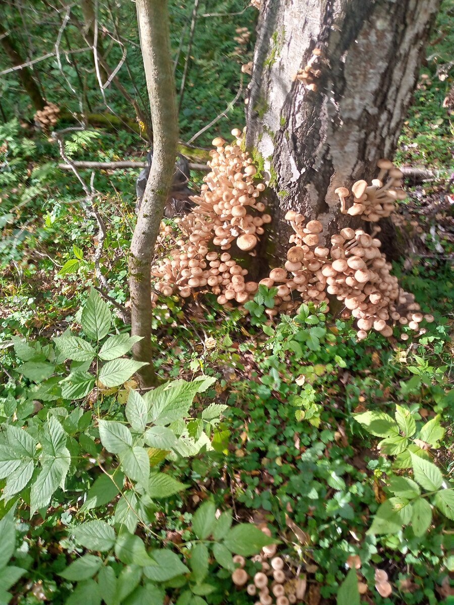 Автор фото Юрий С.