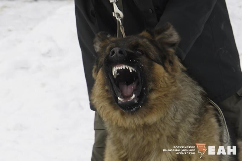   Архивное фото ЕАН