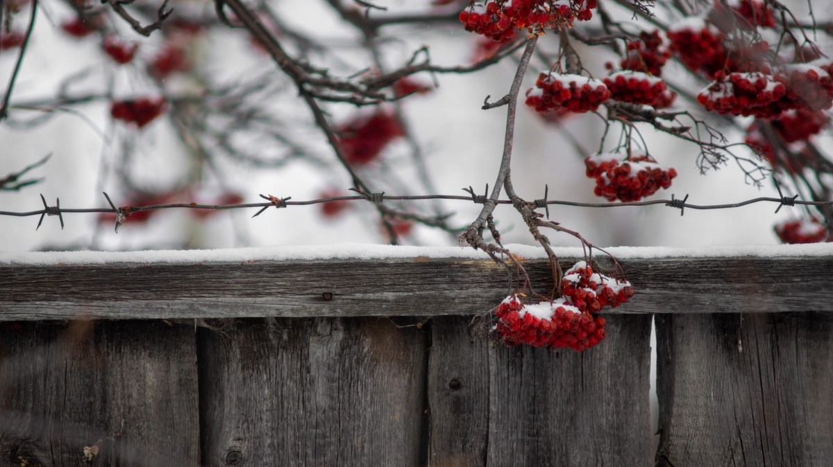    Фото: Даниил Журавлёв