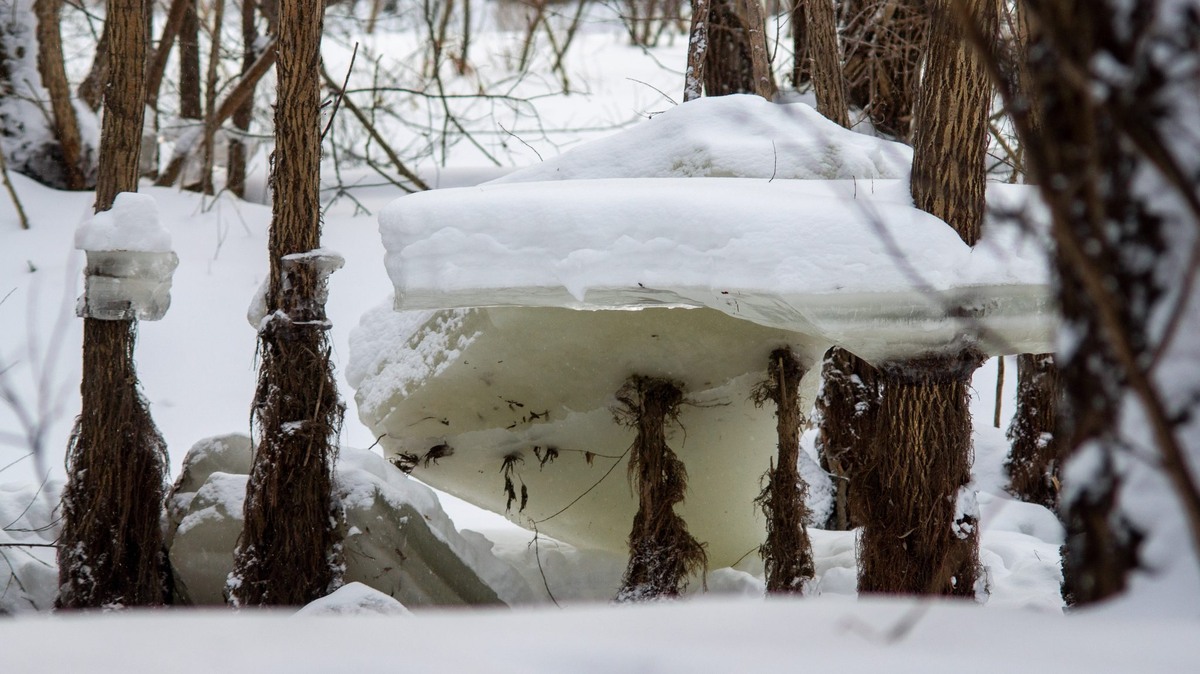   Фото: Даниил Журавлёв