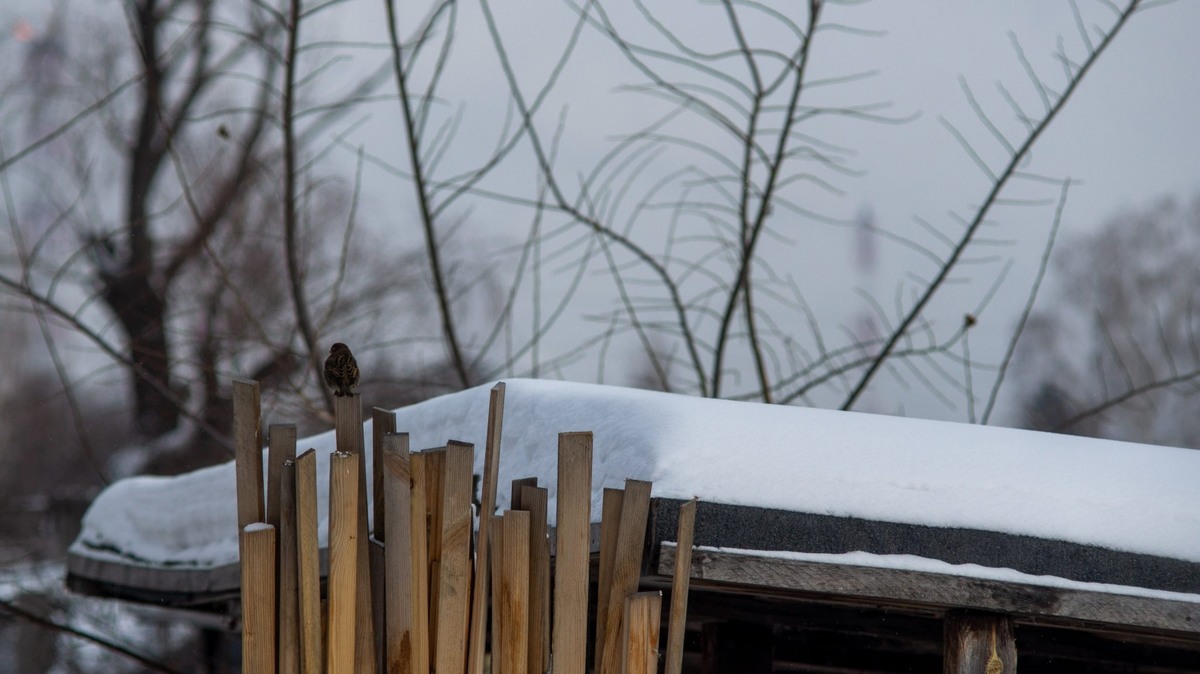    Фото: Даниил Журавлёв