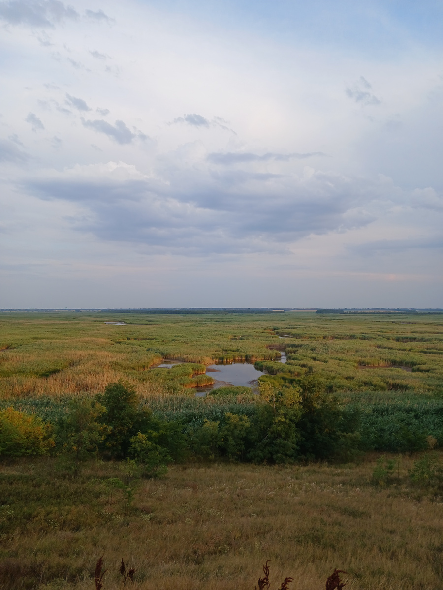 Родные места. Окресности Каневского района