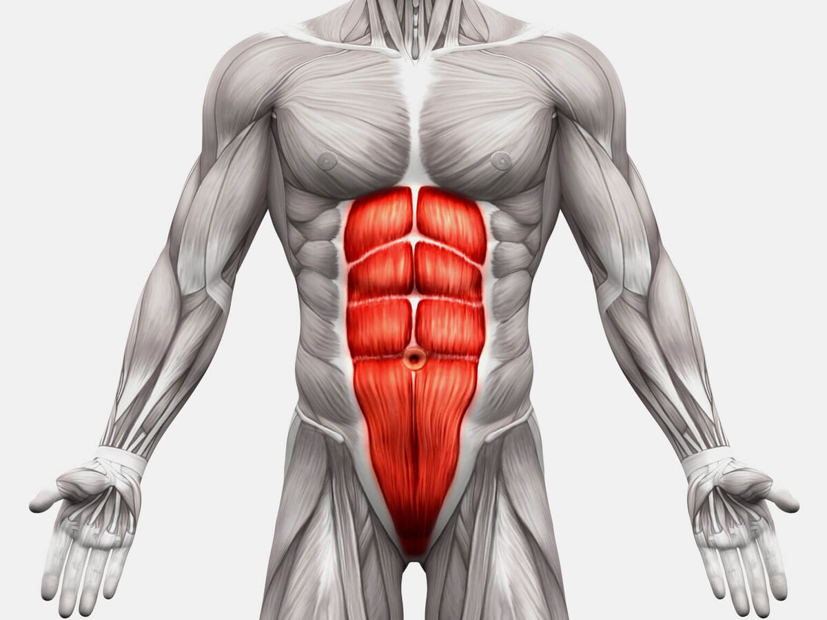 Фото: decade3d — anatomy online / Shutterstok