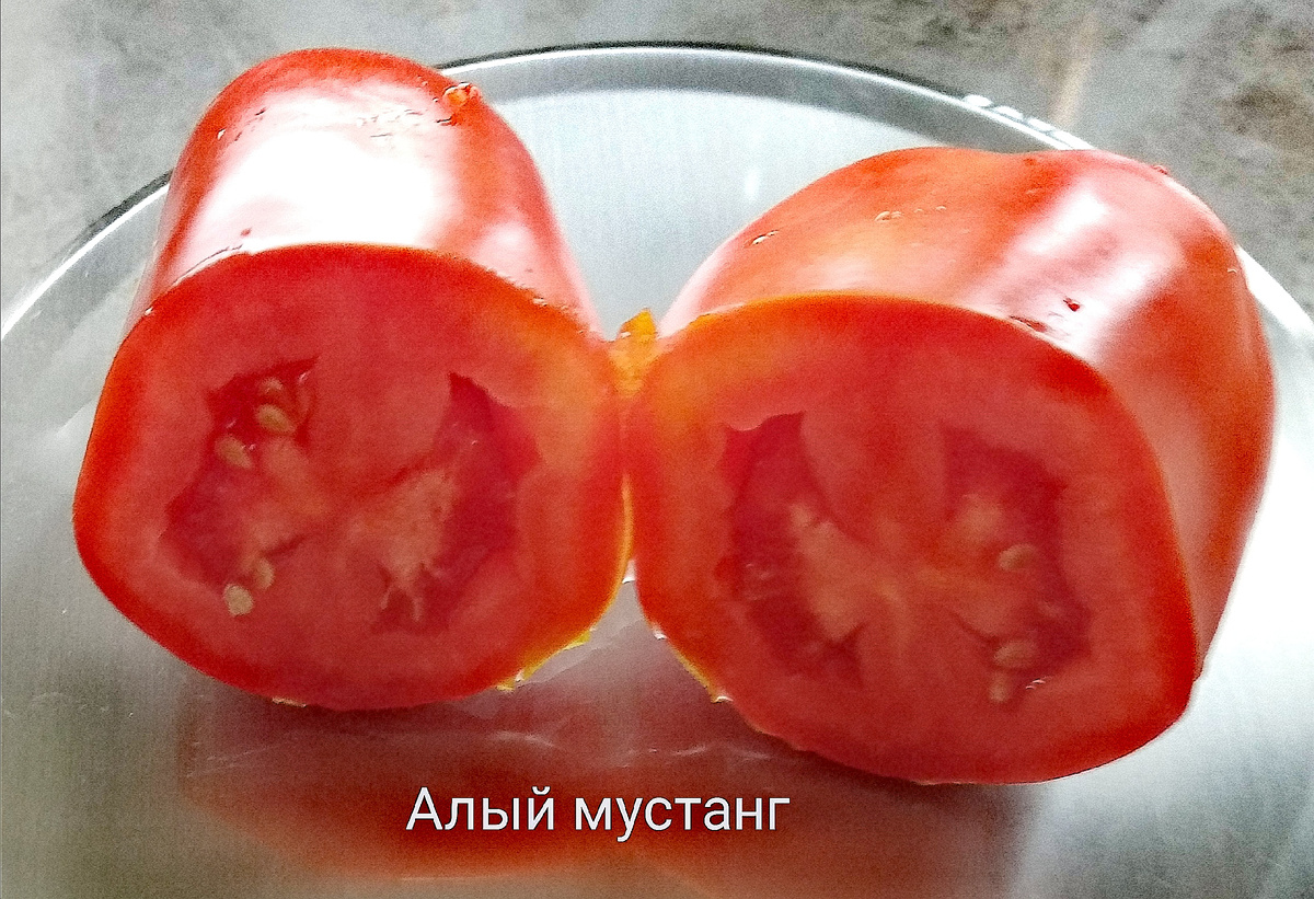 Фото автора. Плод томата Алый мустанг в разрезе.