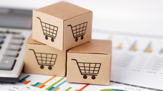    За 2024 год онлайн-торговля в России выросла на 41% Алина Городниченко