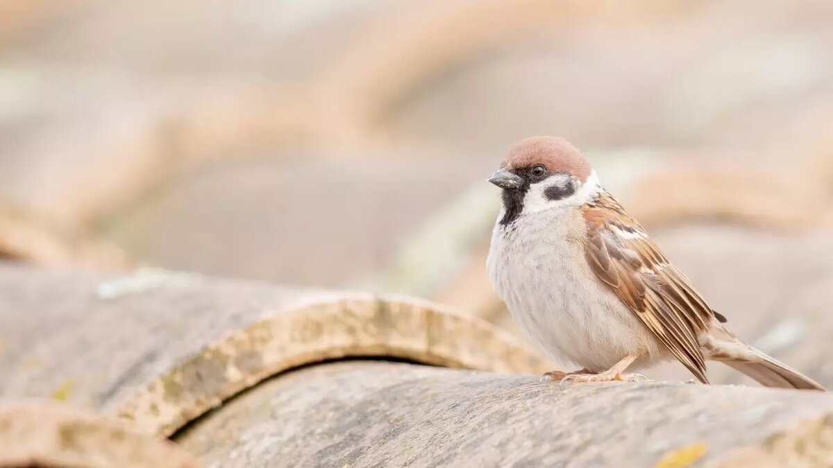     Источник: www.freepik.com