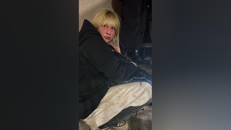    Фото: пресс-служба ГУ МВД России по Санкт-Петербургу и Ленинградской области