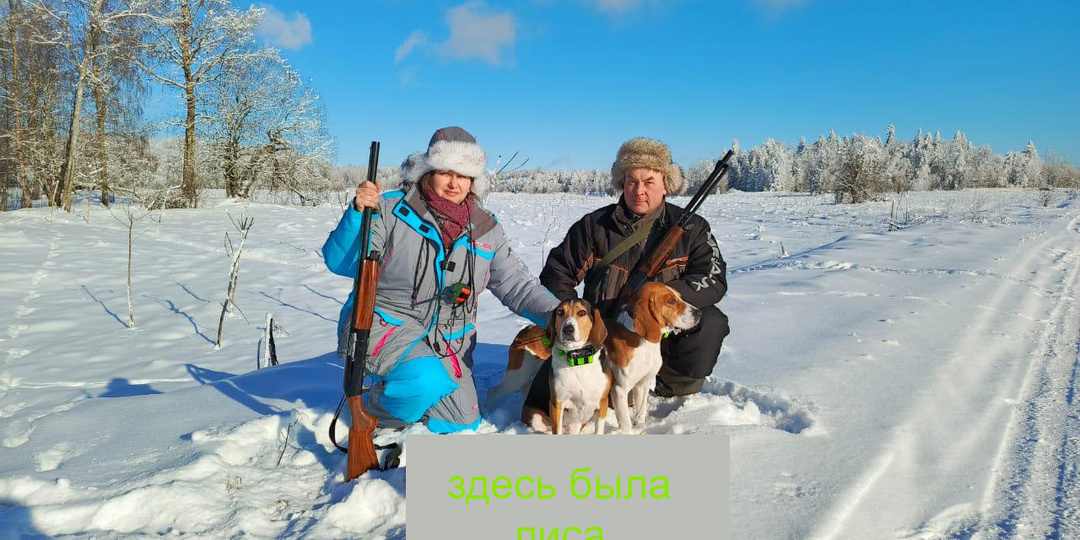 Зачем охотники убивают хищников?