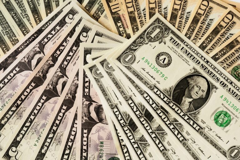    Фото: unsplash.com / Alexander Schimmeck Ксения Евдокимова