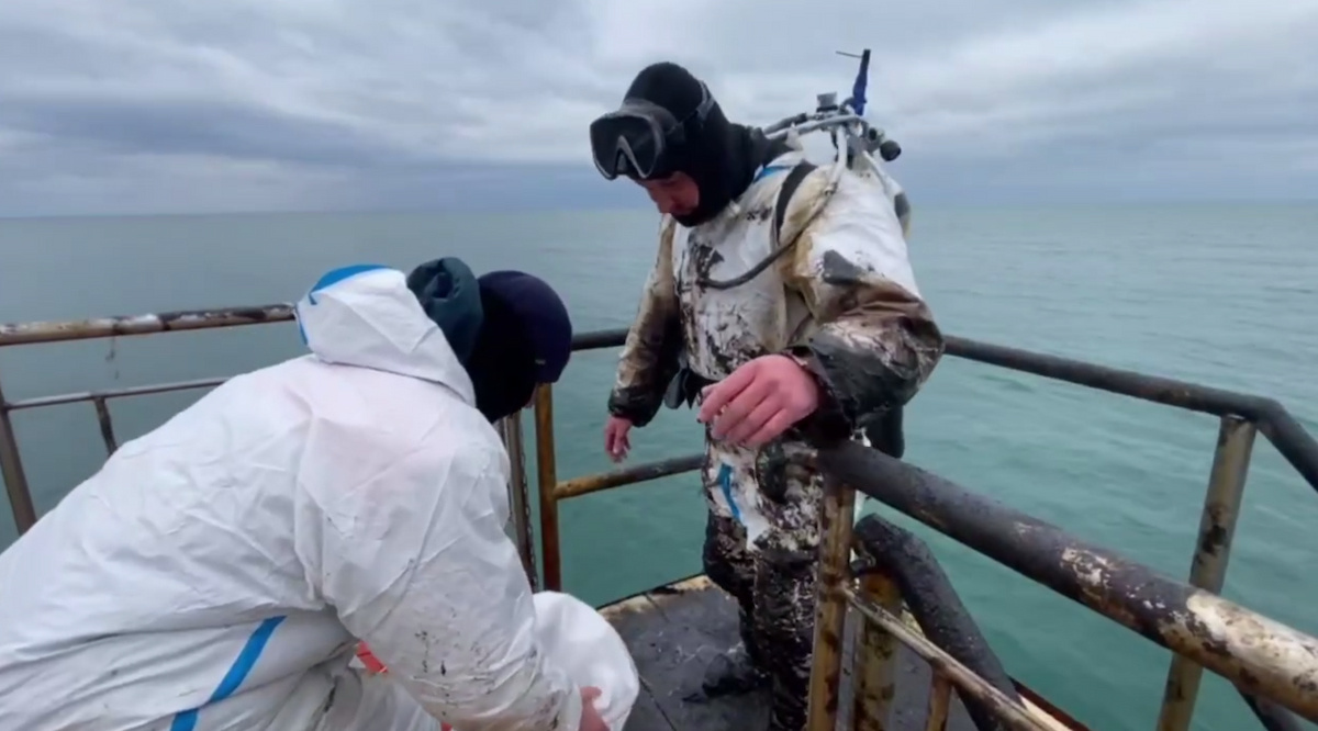 Фото со дна черного моря