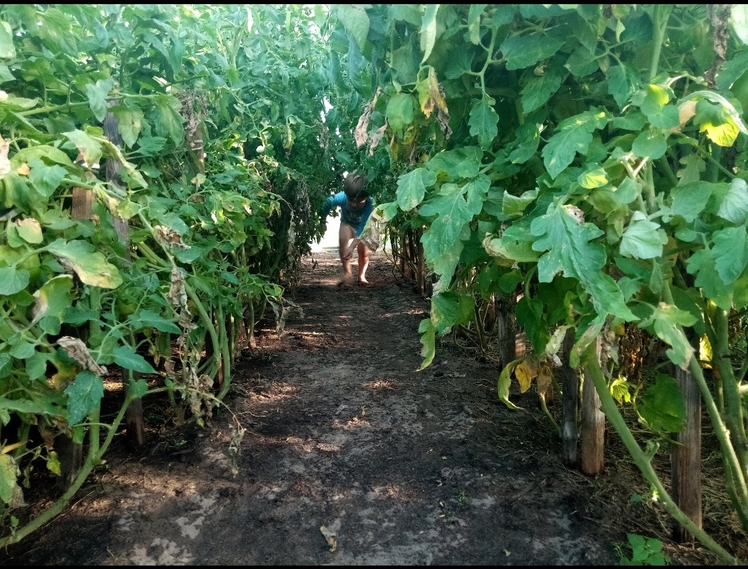 Бывало и так😆