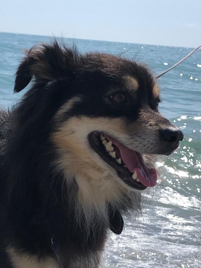 Везунчик Арчи!