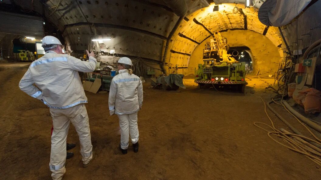    Фото: Sebastian Gollnow/dpa/Globallookpress