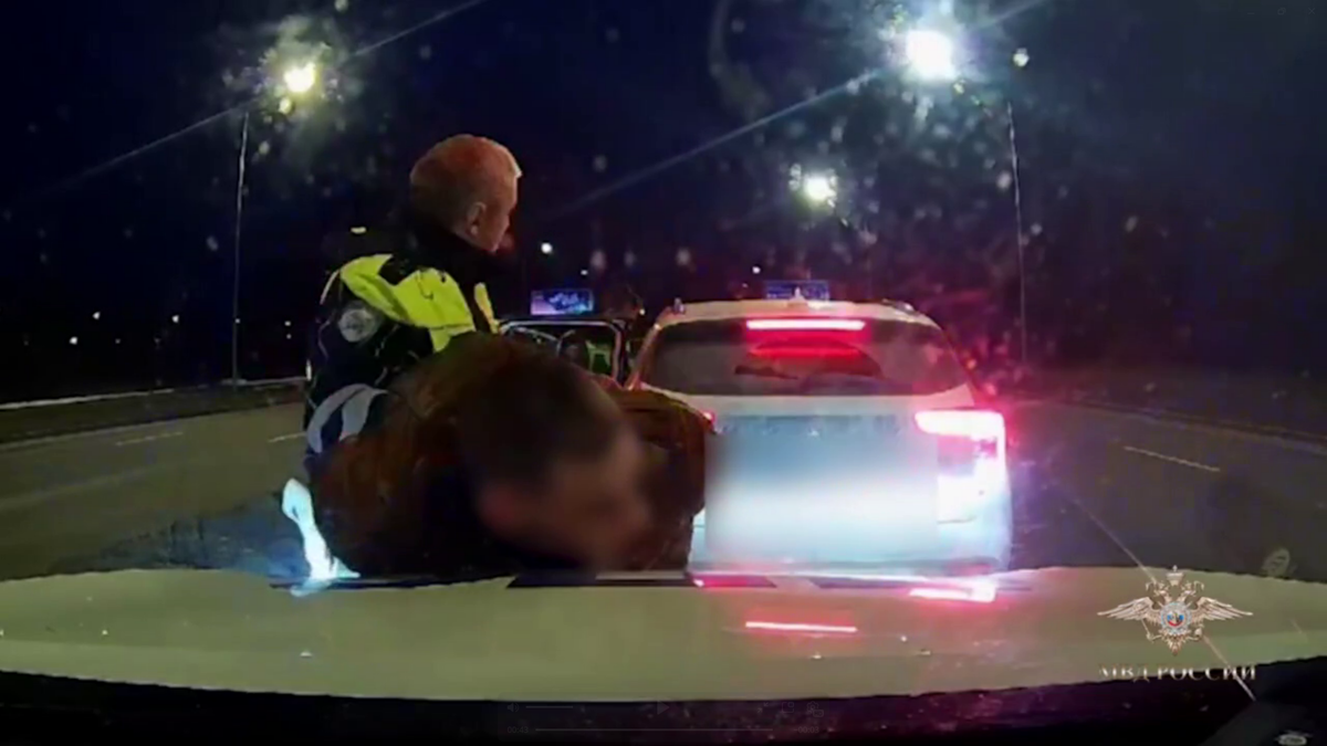 t.me/ Ирина Волк