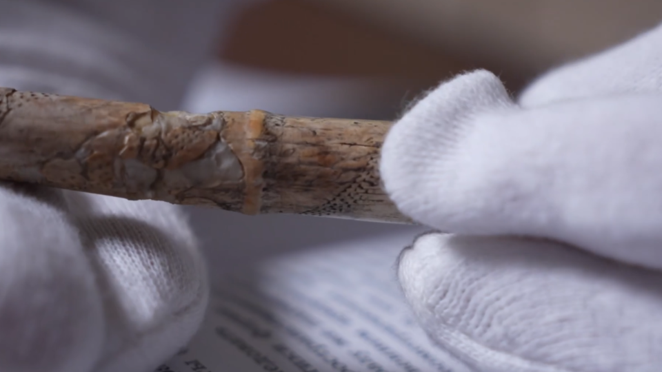 Фото: © Кадр из программы "Загадки человечества", РЕН ТВ