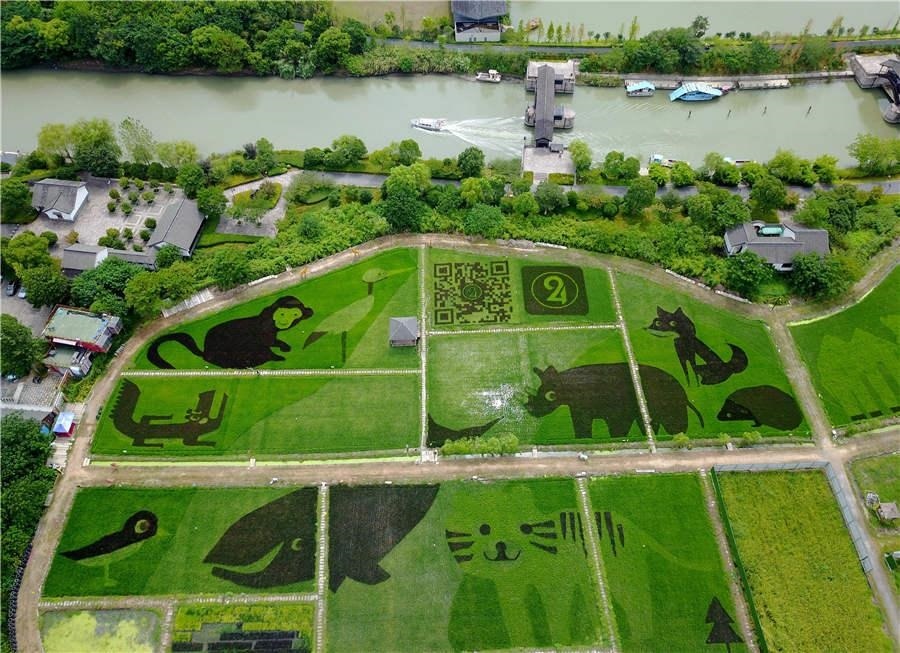 Съёмка 2 августа 2017 года