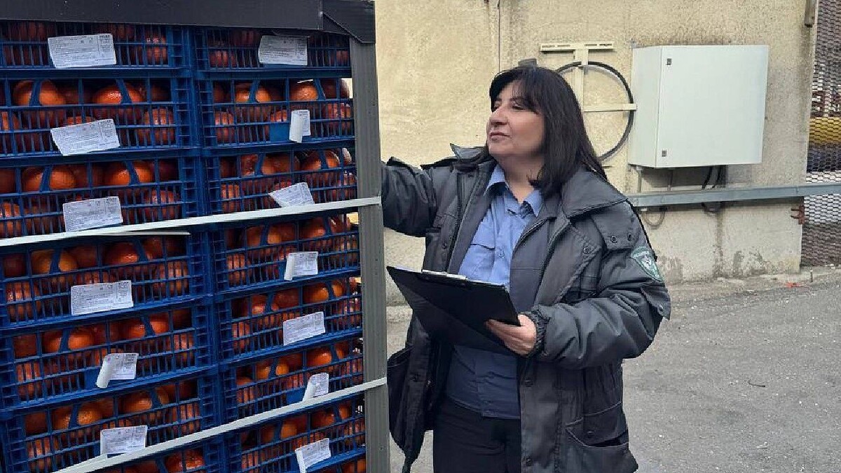    Фото: Южное межрегиональное управление Россельхознадзора