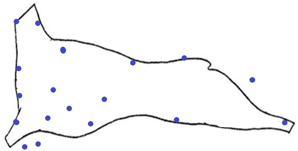 Созвездие Андромеды и котнтур туши ягненка