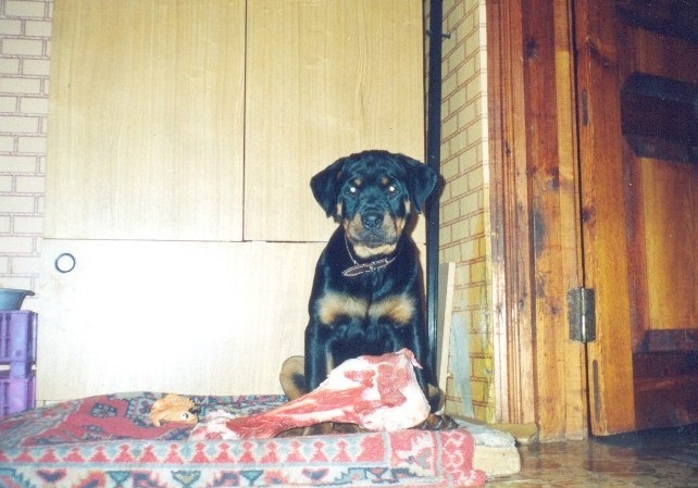 Поесть она любила с детства.