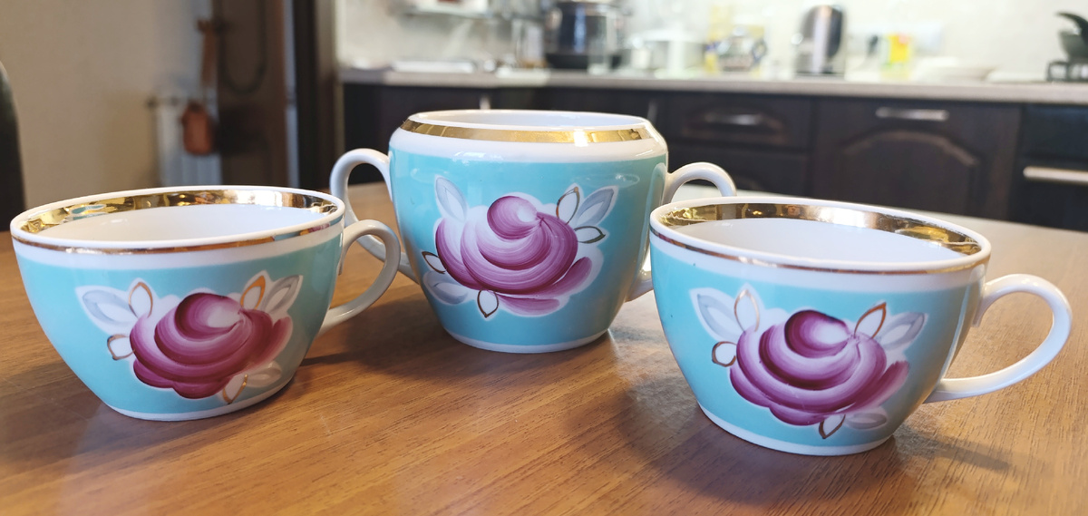 Остатки сервиза Полонное