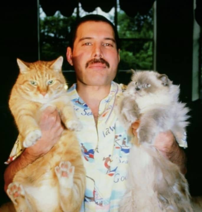 Гугл Картинки