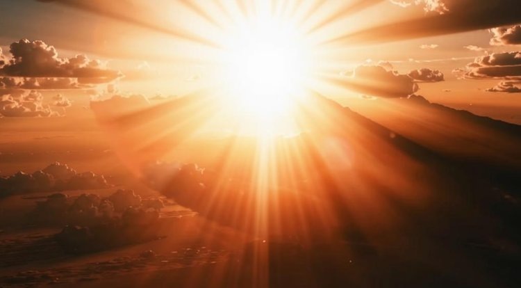    Мезосульфурону нужно солнце