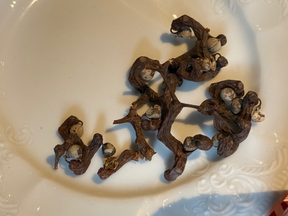 Конфетное дерево в Brodo