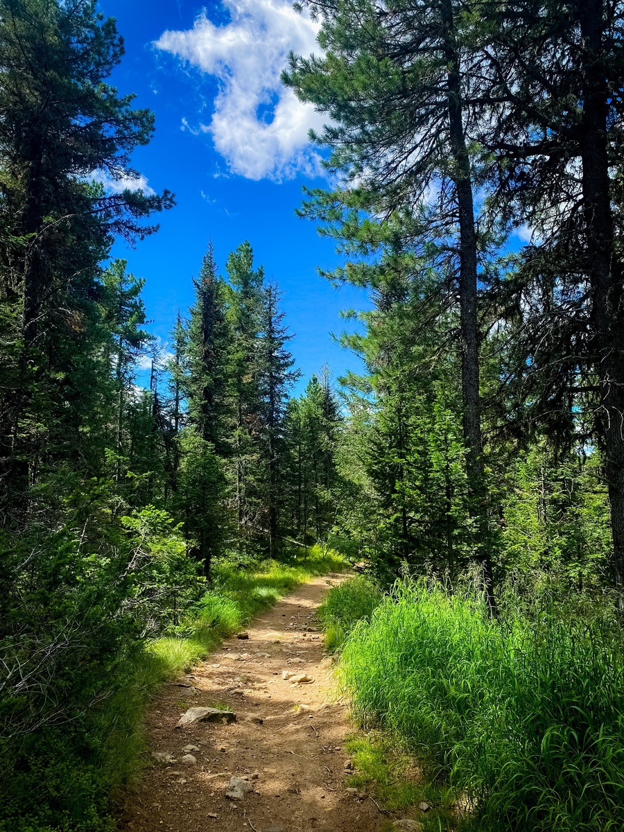 Пик Черского, Иркутская область. Автор не указан, фото взято в ВК группа "мобильная фотография"