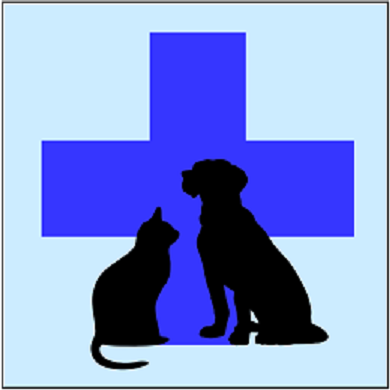 (Из сети Интернет)