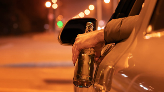    В России сократилось число выявленных на дорогах пьяных водителей Алина Городниченко