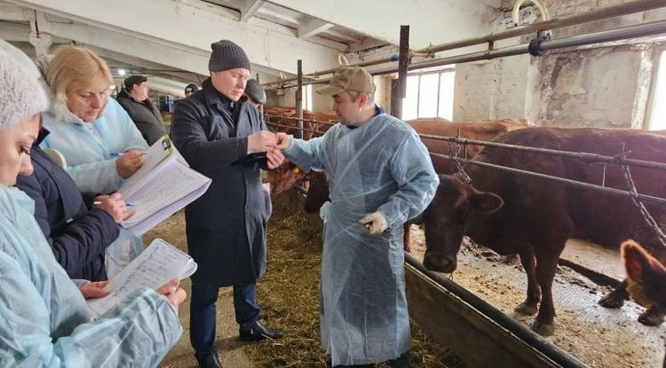    Состоялась научная экспедиция с целью сохранения генофонда КРС бестужевской породы