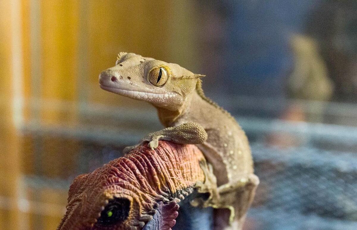 Фото: соцсети